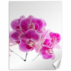 Orchid Phaleonopsis Art Plant Canvas 12  X 16   by Celenk