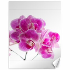 Orchid Phaleonopsis Art Plant Canvas 18  X 24   by Celenk