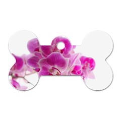 Orchid Phaleonopsis Art Plant Dog Tag Bone (one Side) by Celenk