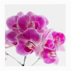 Orchid Phaleonopsis Art Plant Medium Glasses Cloth by Celenk