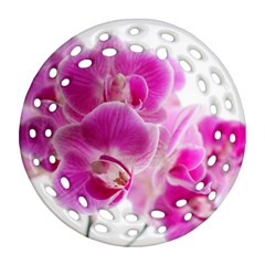 Orchid Phaleonopsis Art Plant Ornament (round Filigree)