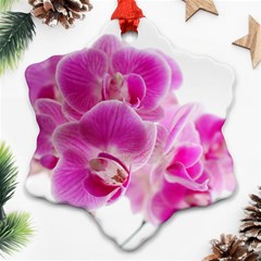 Orchid Phaleonopsis Art Plant Ornament (snowflake) by Celenk