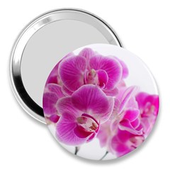 Orchid Phaleonopsis Art Plant 3  Handbag Mirrors by Celenk