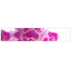 Orchid Phaleonopsis Art Plant Large Flano Scarf  by Celenk