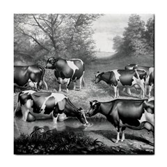 Holstein Fresian Cows Fresian Cows Tile Coasters by Celenk