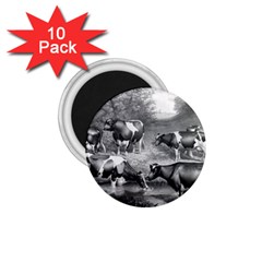 Holstein Fresian Cows Fresian Cows 1 75  Magnets (10 Pack)  by Celenk