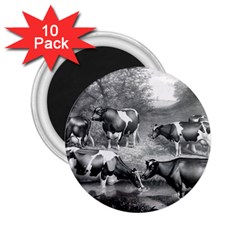 Holstein Fresian Cows Fresian Cows 2 25  Magnets (10 Pack)  by Celenk