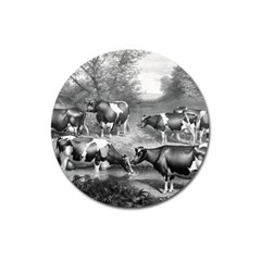 Holstein Fresian Cows Fresian Cows Magnet 3  (round) by Celenk