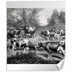 Holstein Fresian Cows Fresian Cows Canvas 8  X 10  by Celenk