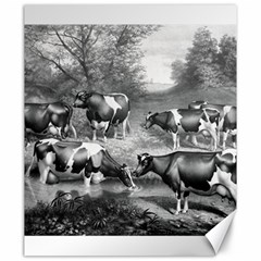 Holstein Fresian Cows Fresian Cows Canvas 20  X 24   by Celenk