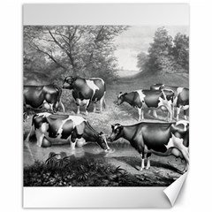 Holstein Fresian Cows Fresian Cows Canvas 11  X 14   by Celenk