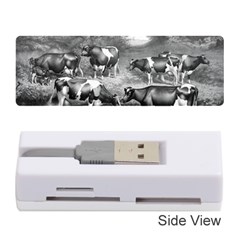 Holstein Fresian Cows Fresian Cows Memory Card Reader (stick)  by Celenk