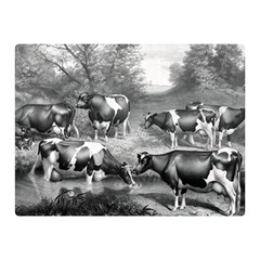 Holstein Fresian Cows Fresian Cows Double Sided Flano Blanket (mini)  by Celenk