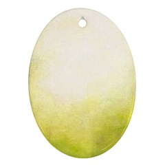 Ombre Oval Ornament (two Sides) by ValentinaDesign