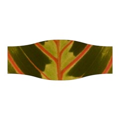 Amaranthus Stretchable Headband by DeneWestUK