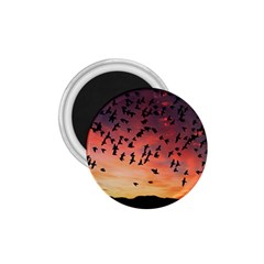 Sunset Dusk Silhouette Sky Birds 1 75  Magnets by Celenk