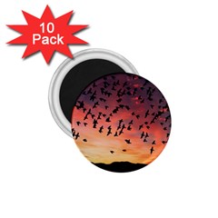 Sunset Dusk Silhouette Sky Birds 1 75  Magnets (10 Pack)  by Celenk