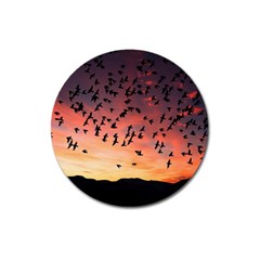 Sunset Dusk Silhouette Sky Birds Magnet 3  (round) by Celenk