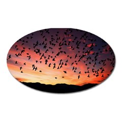 Sunset Dusk Silhouette Sky Birds Oval Magnet by Celenk