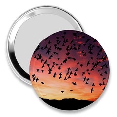 Sunset Dusk Silhouette Sky Birds 3  Handbag Mirrors by Celenk