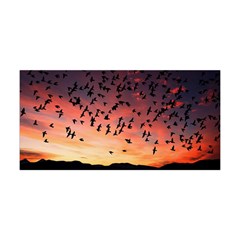 Sunset Dusk Silhouette Sky Birds Yoga Headband by Celenk