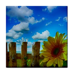 Sunflower Summer Sunny Nature Tile Coasters by Celenk