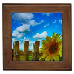 Sunflower Summer Sunny Nature Framed Tiles by Celenk