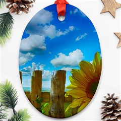 Sunflower Summer Sunny Nature Ornament (oval) by Celenk