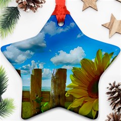 Sunflower Summer Sunny Nature Ornament (star) by Celenk