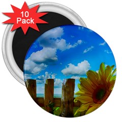 Sunflower Summer Sunny Nature 3  Magnets (10 Pack)  by Celenk