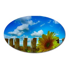 Sunflower Summer Sunny Nature Oval Magnet by Celenk