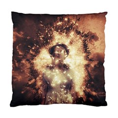 Science Fiction Teleportation Standard Cushion Case (Two Sides)