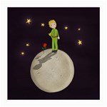 The Little Prince Medium Glasses Cloth (2-Side) Back