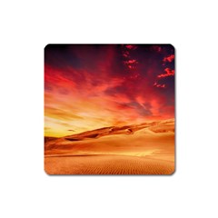 Desert Sand Dune Landscape Nature Square Magnet by Celenk