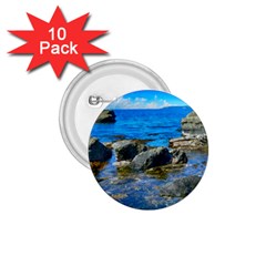 Shoreline Sea Coast Beach Ocean 1 75  Buttons (10 Pack) by Celenk