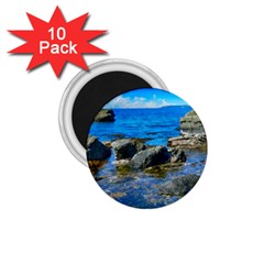 Shoreline Sea Coast Beach Ocean 1 75  Magnets (10 Pack)  by Celenk