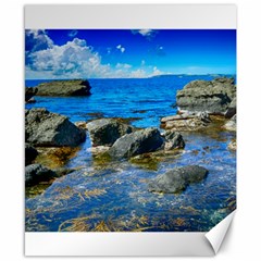 Shoreline Sea Coast Beach Ocean Canvas 8  X 10  by Celenk