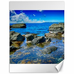 Shoreline Sea Coast Beach Ocean Canvas 18  X 24   by Celenk