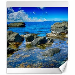 Shoreline Sea Coast Beach Ocean Canvas 20  X 24   by Celenk