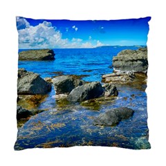 Shoreline Sea Coast Beach Ocean Standard Cushion Case (one Side) by Celenk