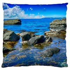 Shoreline Sea Coast Beach Ocean Standard Flano Cushion Case (two Sides) by Celenk