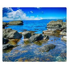 Shoreline Sea Coast Beach Ocean Double Sided Flano Blanket (small)  by Celenk