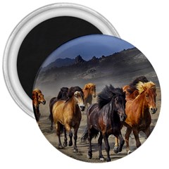 Horses Stampede Nature Running 3  Magnets by Celenk