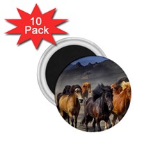 Horses Stampede Nature Running 1 75  Magnets (10 Pack)  by Celenk