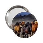 Horses Stampede Nature Running 2.25  Handbag Mirrors Front