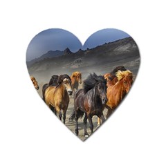 Horses Stampede Nature Running Heart Magnet by Celenk