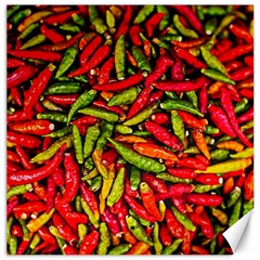 Chilli Pepper Spicy Hot Red Spice Canvas 16  X 16   by Celenk