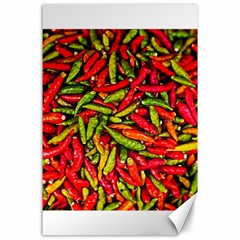 Chilli Pepper Spicy Hot Red Spice Canvas 24  X 36  by Celenk