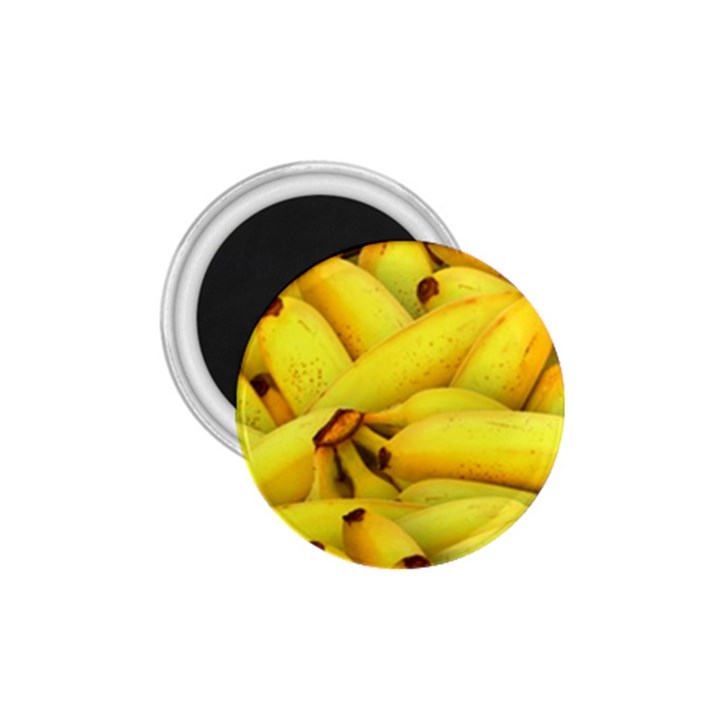 Yellow Banana Fruit Vegetarian Natural 1.75  Magnets