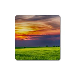 Countryside Landscape Nature Rural Square Magnet by Celenk